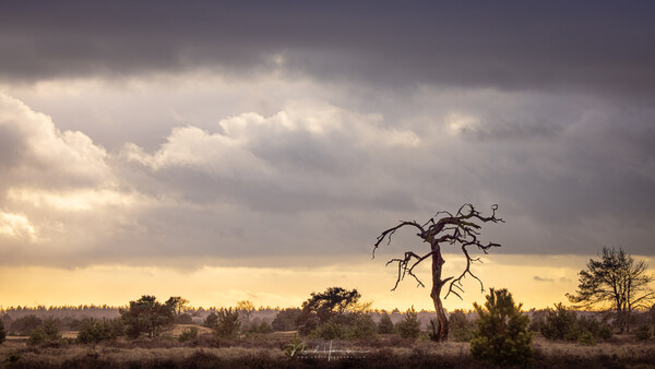 The Six Pillars for a Good Landscape Photo