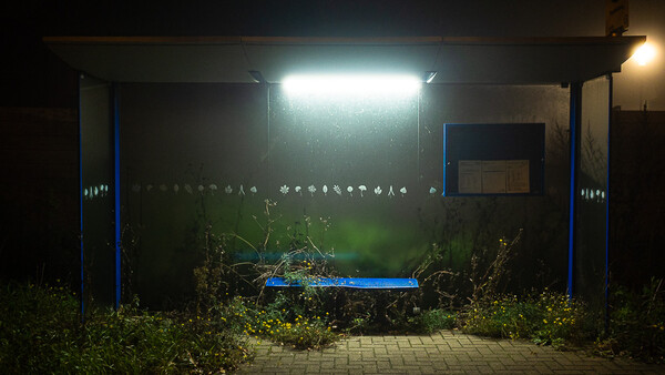 What the Fog? 7 Tips for Moody Photographs