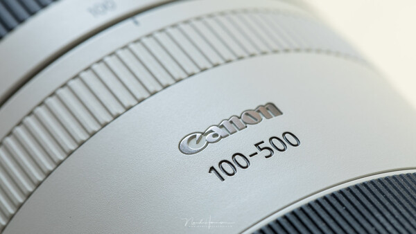 We Review the Canon RF 100-500mm f/4.5-7.1L IS USM Mirrorless Lens