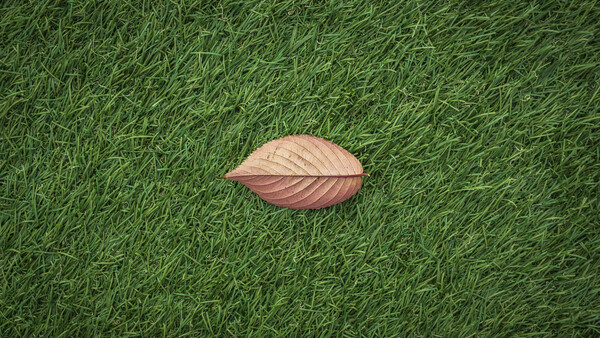 Clean NFTs Exist, but We Are Not Using Them