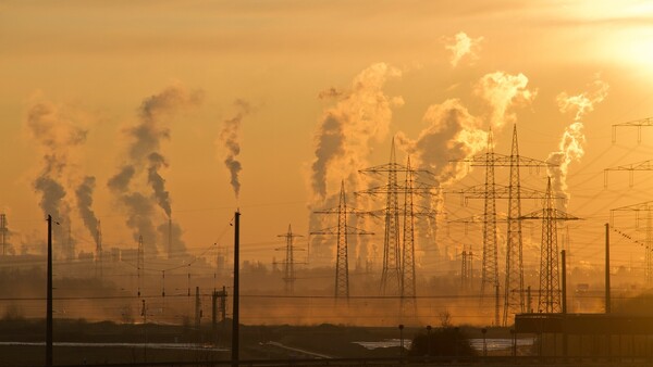 NFTs Are Causing a Global Ecological Disaster, I'm Not Exaggerating.