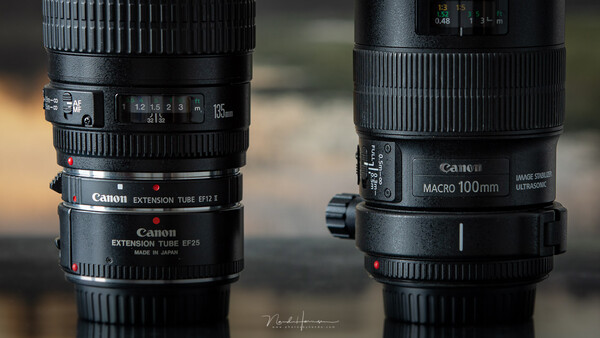 Which Is the Better Choice, A Macro Lens or Extension Tubes?