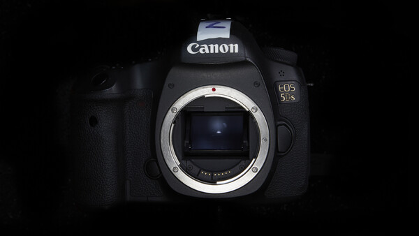 I Bought a DSLR in 2021: Why You Should Too 