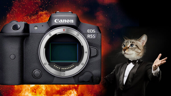 Is Canon Going To Release a High-Resolution RF Camera and Two Tilt-Shift Lenses?