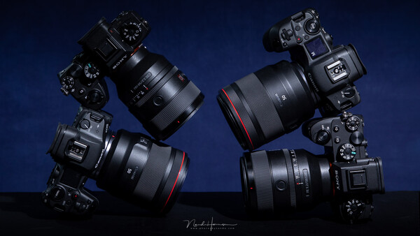 Would You Prefer the Canon EOS R5 or the Sony a1?