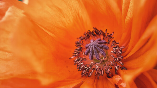 One Simple Tip to Improve Your Photography