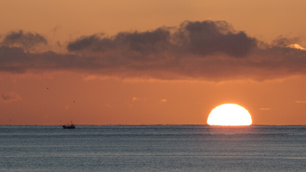 Fishing for Answers To My Coffee Break Photography Quiz? Here They Are
