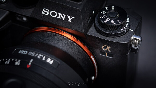 Sony a1: The Good, the Bad, and the Ugly