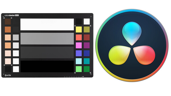 How to Get Perfect Exposure and Accurate Color in Videos