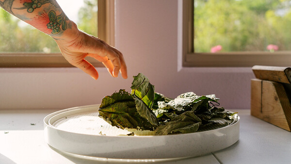 Tattooed hand reaching toward fresh mint leaves floating in a shallow white ceramic bowl filled with white sauce or cream.