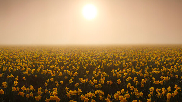 Zen and the Discipline of Landscape Photography