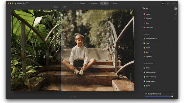 Screenshot of Luminar photo editing software showing portrait retouching tools panel.