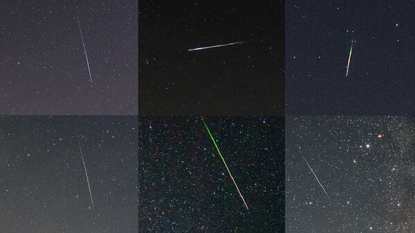 Composite grid of nine photographs showing meteor streaks crossing starry night skies in various exposures and compositions.