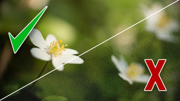 Here's Why You Should Stop Worrying About ISO Noise