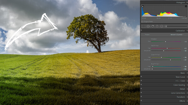 Screenshot of Lightroom's Calibration panel showing histogram and editing controls overlaid on a landscape with a solitary tree and arrow graphic in the sky.