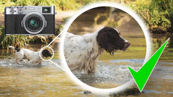 Infographic showing a vintage rangefinder camera, a dog in water, and a green checkmark, illustrating camera capabilities.