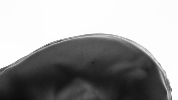 Close-up of a curved, glossy black surface with soft highlights and subtle reflections against a white background.