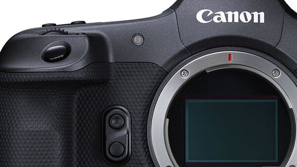 Canon mirrorless camera body with sensor visible and textured grip panel shown in close-up.