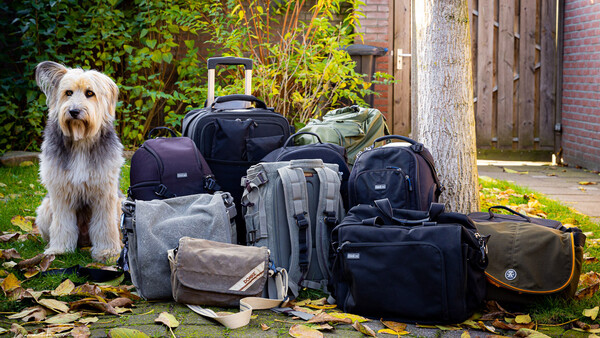 Terrier mix dog sitting beside a pile of travel bags and luggage against a brick building.