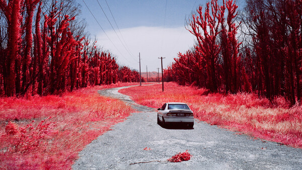 Sedan parked on rural asphalt road lined with infrared-processed trees and vegetation in vivid red tones.