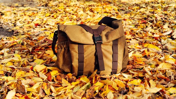 Tan canvas messenger bag with black straps sits on autumn leaves.