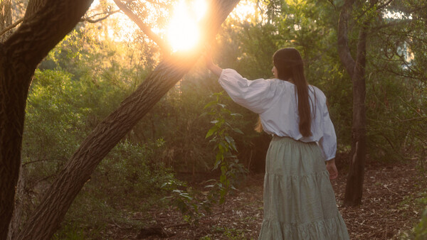 Woman in white blouse reaching toward a tree branch with golden sunlight streaming through the forest canopy.