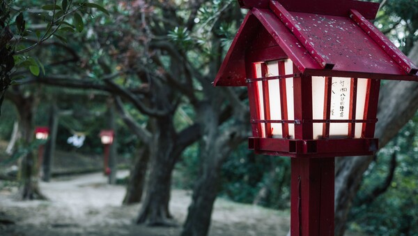 Dark red wooden lantern-style structure with illuminated windows hanging from a post among leafy trees.