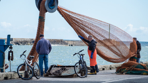 Fishermen hauling in a large net at a harbor while bicycles rest nearby on the dock.