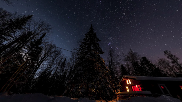 Cabin with warm interior lights surrounded by snow-covered evergreens under a starry night sky.