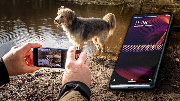 Photographer holding smartphone capturing image of long-haired dog by water, with large display phone showing lock screen nearby.