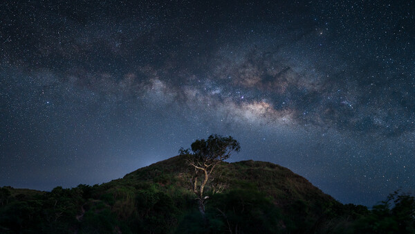 Lone tree silhouetted on a hillside beneath the Milky Way galaxy stretching across a starry night sky.
