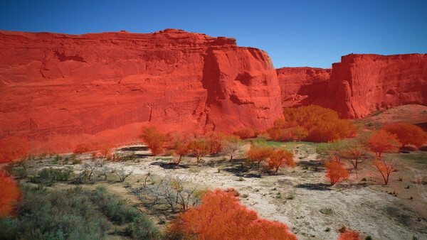 Vivid red sandstone cliffs rising above sparse desert vegetation under clear blue sky.