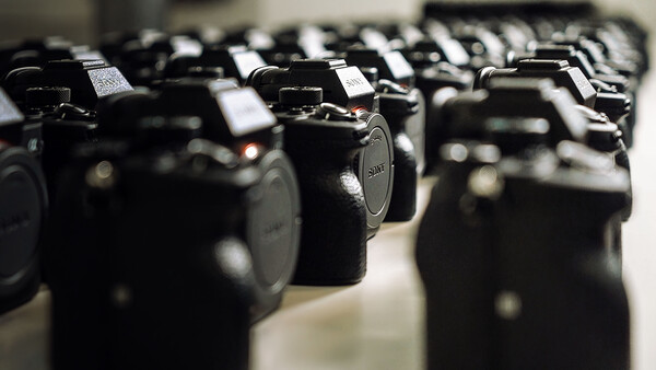 Row of black DSLR camera bodies lined up in selective focus display.