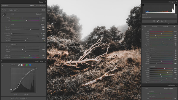 Screenshot of Lightroom editing interface with a fallen tree in an arid landscape.