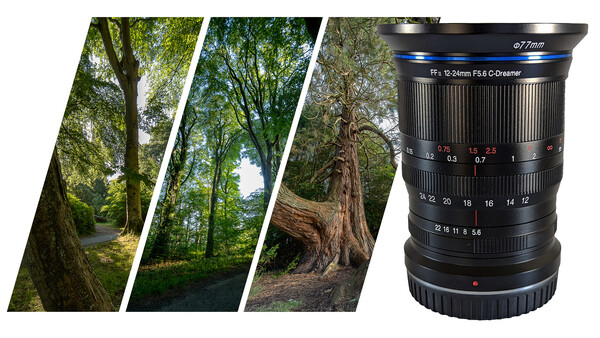 Is Laowa's 12-24mm f/5.6 C-Dreamer a Dream to Use? We Test It To