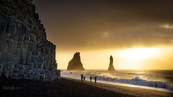 Silhouetted sea stacks rising from dark sand beach at golden hour with basalt columns on left.