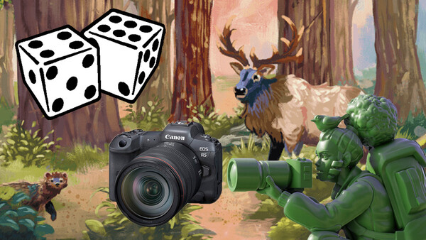 Illustration of forest wildlife and photography equipment composited with dice and a Canon camera.