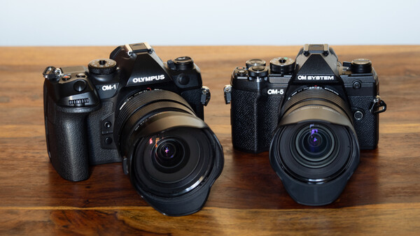 Two Olympus OM-series film cameras with attached lenses displayed on a wooden surface.
