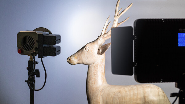 Studio lighting setup with wooden deer sculpture and professional camera equipment.