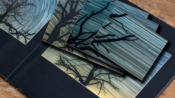 Contact sheets and prints with tree branch silhouettes arranged on black paper and wooden surface.
