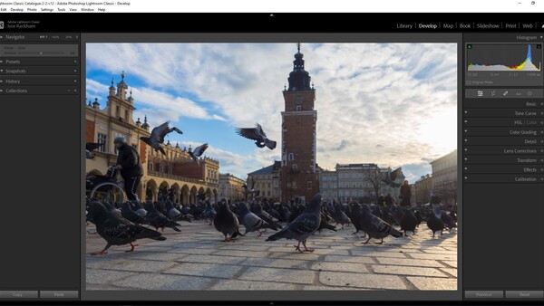 Pigeons gathering in a European town square with historic architecture and a tall bell tower in the background.