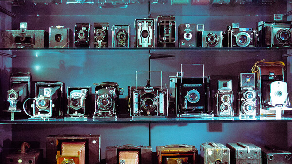 Display shelves with vintage cameras and photography equipment arranged in museum-style lighting.