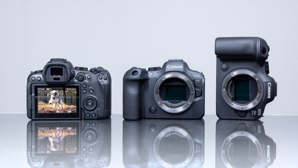 Three digital cameras displayed front and back, showing LCD screens and sensor mounts against a light background.