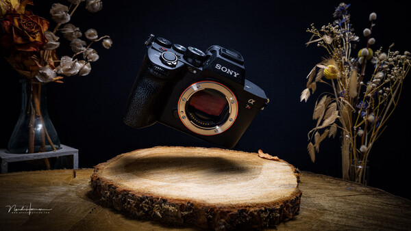 Sony mirrorless camera body suspended above a wooden slice, surrounded by dried flowers on dark background.