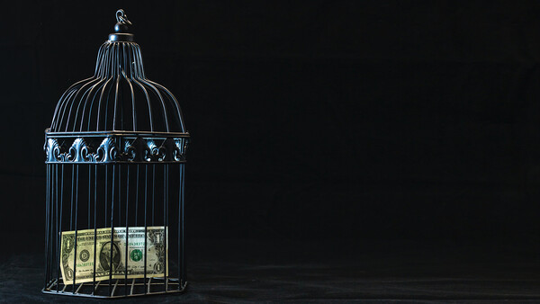 Decorative birdcage with dollar bills visible inside against a black background.