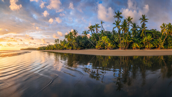 Tropical beach at golden hour with palm trees reflected in wet sand and calm water.