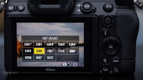 Screenshot of Nikon camera RAW file format menu showing recording quality options in NEF format.