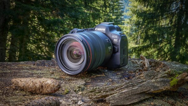 DSLR camera with zoom lens positioned on a weathered log in a sunlit forest setting.