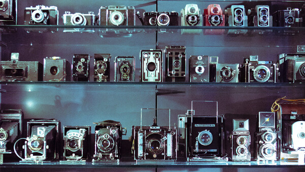 Collection of vintage film cameras displayed on glass shelves, arranged chronologically from top to bottom.