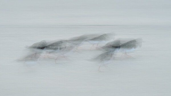 Two cyclists riding on snow in motion blur, captured with panning technique.